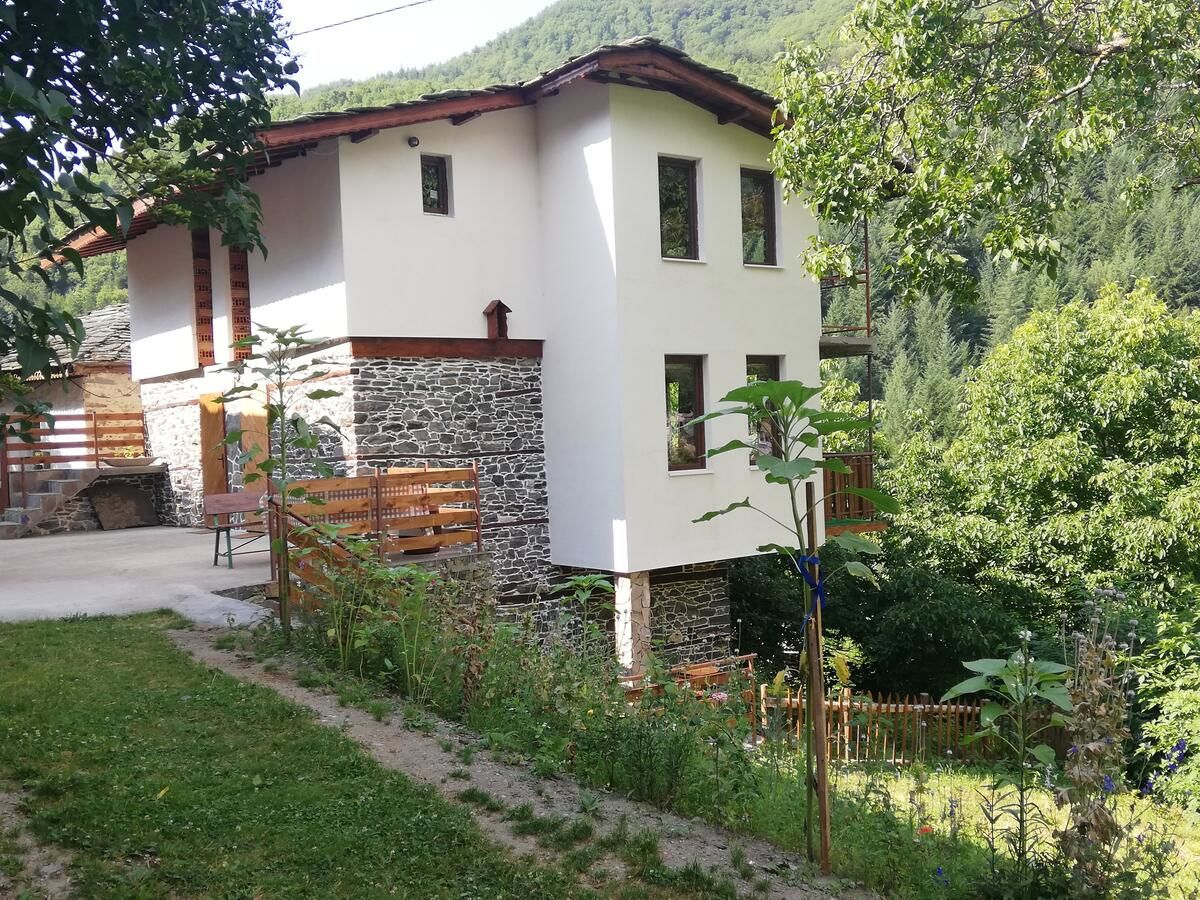 Гостевой дом GUEST HOUSE ELENA Kosovo-6