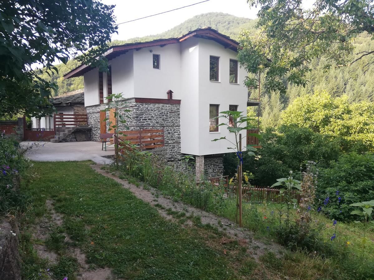 Гостевой дом GUEST HOUSE ELENA Kosovo-7